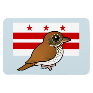 Imán Birdorable de Washington, C.C.: Tordo de madera