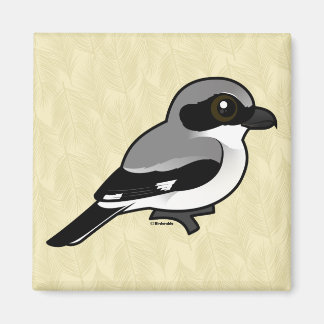 Imán Birdorable Loggerhead Shrike