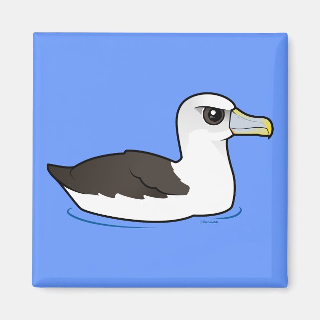 Imán Birdorable Shy Albatross (Frente)