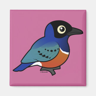 Imán Birdorable Superb Starling