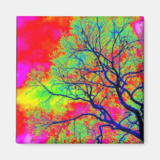 Imán Birds Magnet