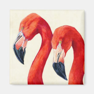 Imán Birds of a Feather - mayores flamencos