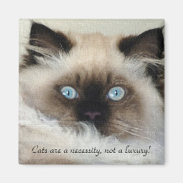 Imán Birman - Ragdoll Cat Lover Magnet