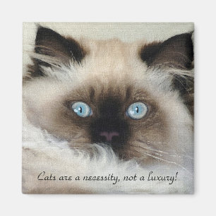 Imán Birman - Ragdoll Cat Lover Magnet