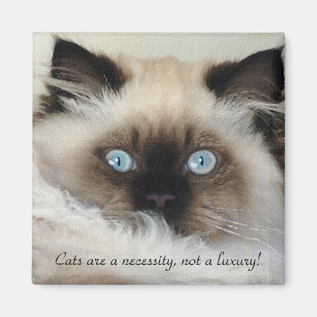 Imán Birman - Ragdoll Cat Lover Magnet (Frente)