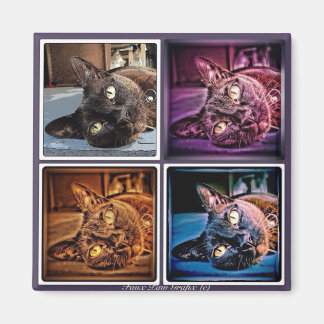 Imán Birmano Amorada