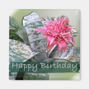 Imán Birthday Pink Bromeliad