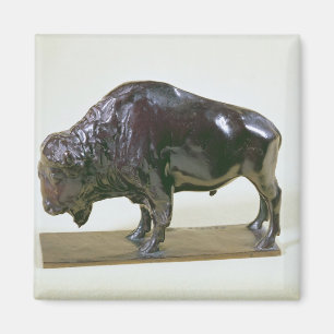 Imán Bison, 1907