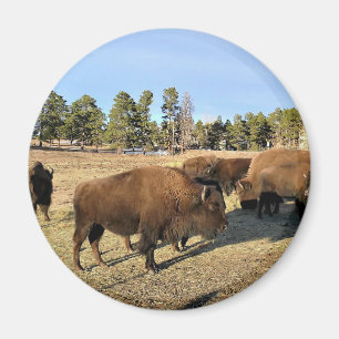 Imán Bison de Colorado