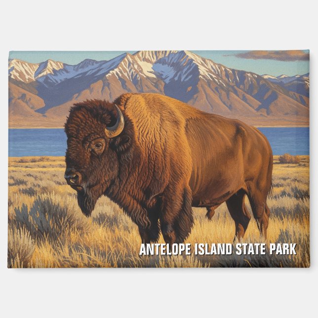 Imán Bison in Antelope Island State Park Utah (Anverso)