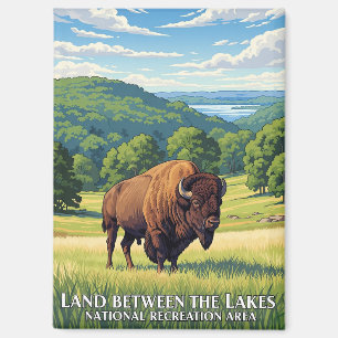 Imán Bison in Land Between Lakes Kentucky