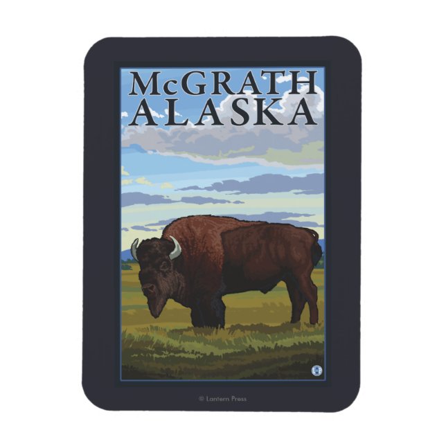 Imán Bison Scene - McGrath, Alaska (Vertical)