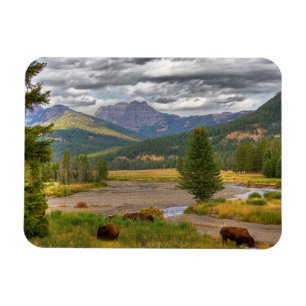 Imán Bisonte de Yellowstone