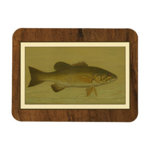 Imán Black Bass en un fondo verde