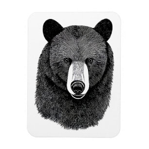 Imán Black Bear Face original Dibujo de arte animal