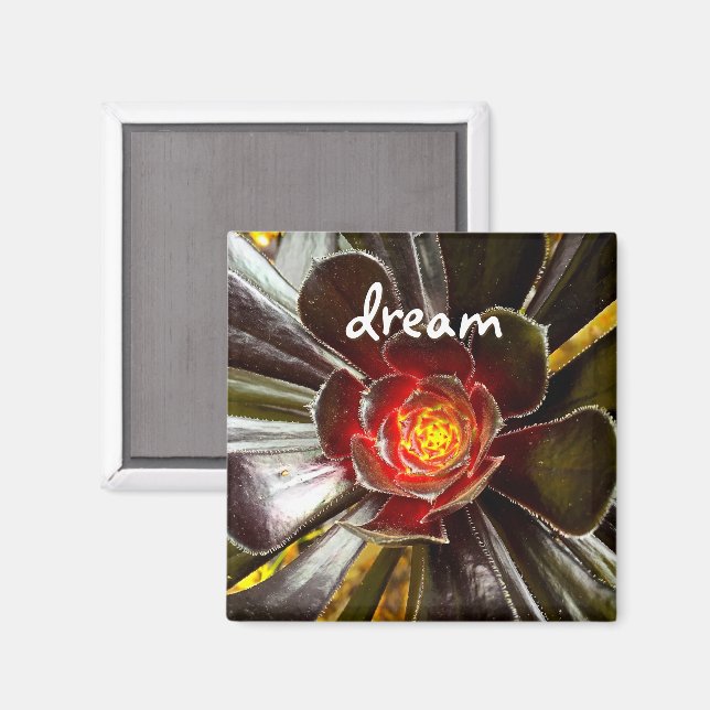 Imán Black Cactus Photo Dream Cote Script Moderno Negri (Anverso/Reverso)