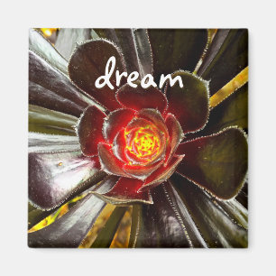 Imán Black Cactus Photo Dream Cote Script Moderno Negri
