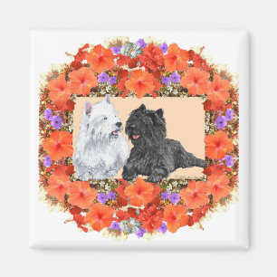 Imán Black Cairn y Terriers Westie en Floral