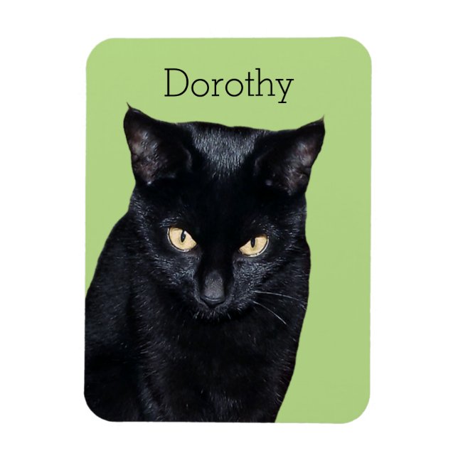Imán Black Cat Real Photo Kitchen Fridge Magnet (Vertical)