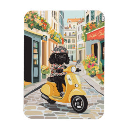 Imán Black Doodle Riding Scooter European City Streets