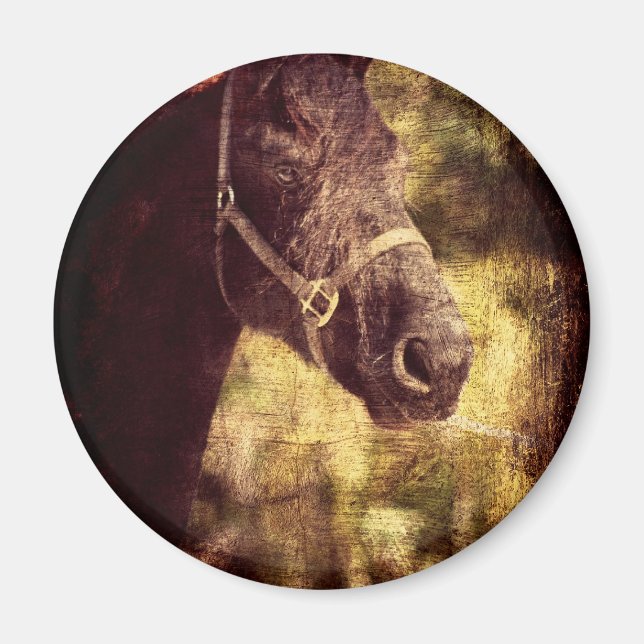 Imán Black Horse (Frente)