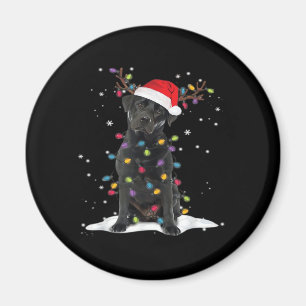 Imán Black Labrador Xmas Dog Christmas Tree Light Class