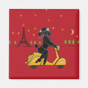 Imán Black Poodle Paris Scooter Eiffel Tower Magnet