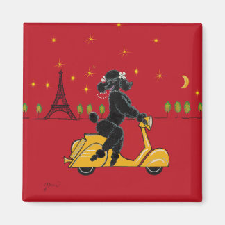 Imán Black Poodle Paris Scooter Eiffel Tower Magnet