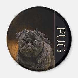 Imán Black Pug Fridge Magnet