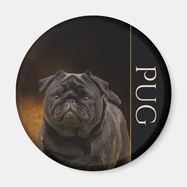 Imán Black Pug Fridge Magnet (Frente)