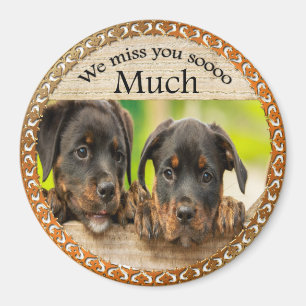 Imán Black Rottweiler perros adorables con caras triste