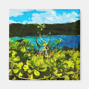 Imán Black Sand Beach On the Road to Hana Maui Resumen