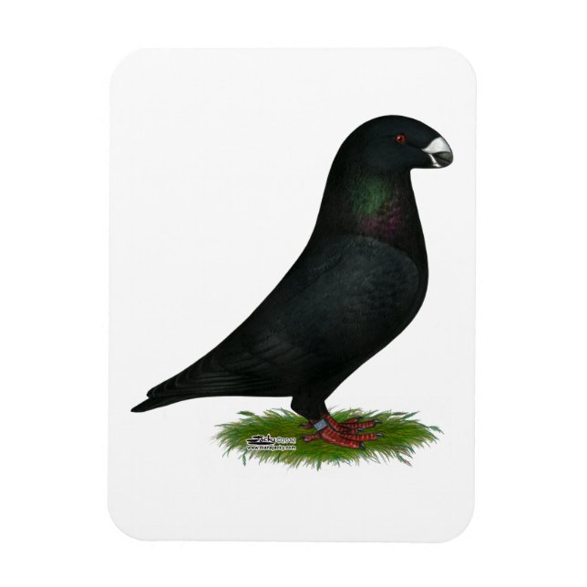 Imán Black Show Racer (Vertical)