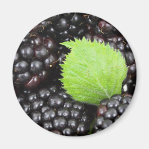 Imán Blackberries