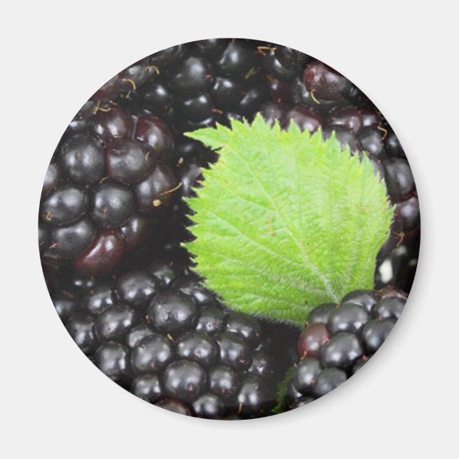 Imán Blackberries (Frente)
