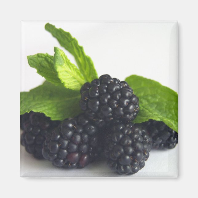 Imán Blackberries y menta (Frente)