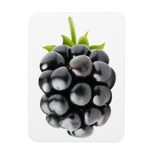 Imán Blackberry
