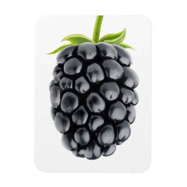 Imán Blackberry (Vertical)