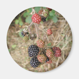 Imán Blackberry Bonanza Magnet