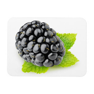 Imán Blackberry y menta