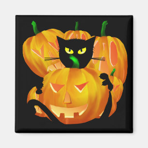 Imán Blackbg del gato negro y de las calabazas de