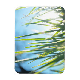 Imán Blades iluminados por el sol