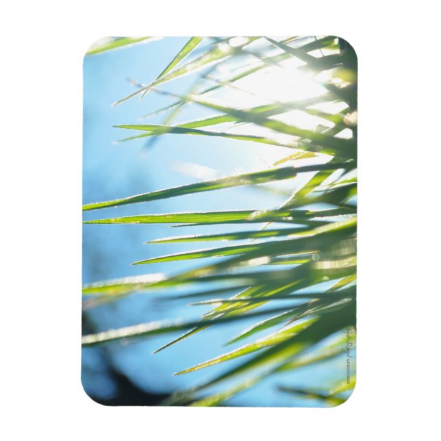 Imán Blades iluminados por el sol (Vertical)