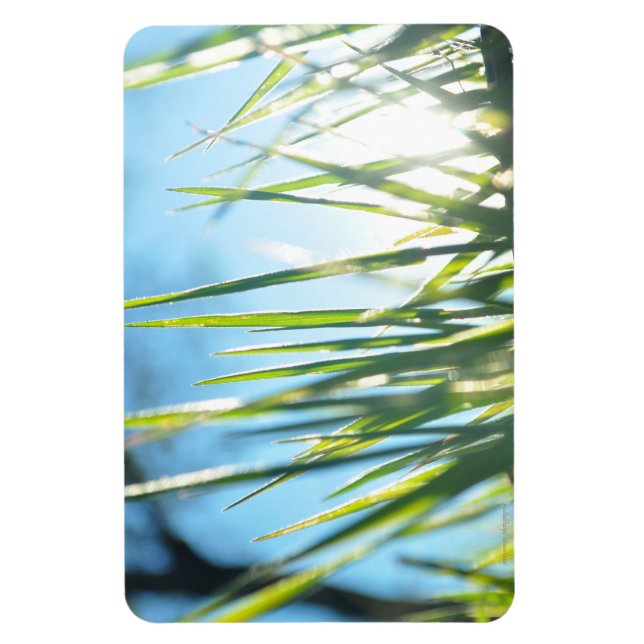 Imán Blades iluminados por el sol (Vertical)