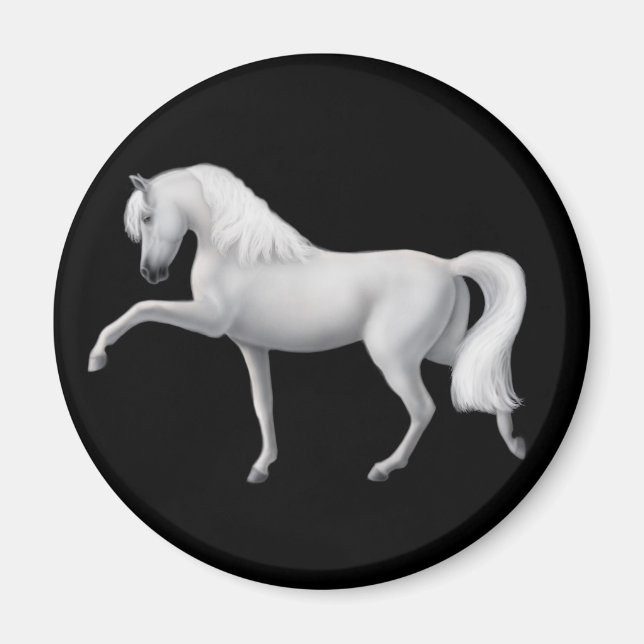 Imán blanco andaluz de caballos (Frente)