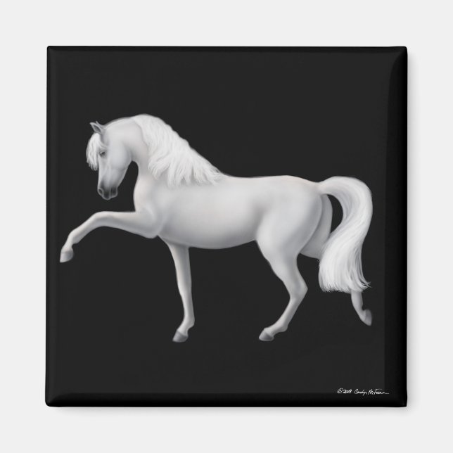 Imán blanco andaluz de caballos (Frente)