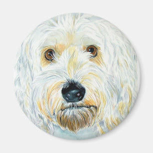 Imán blanco de Labrdoodle Maggie