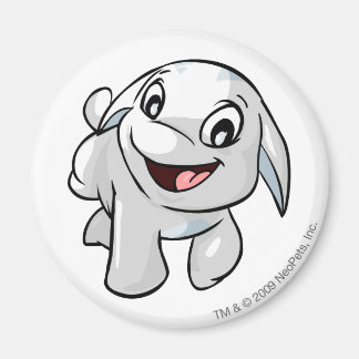 Imán Blanco de Poogle