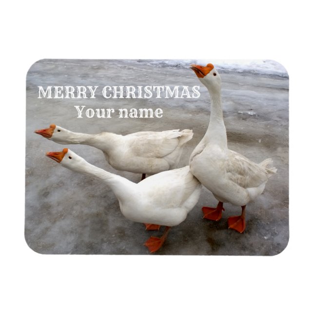 Imán Blanco geo (Horizontal)