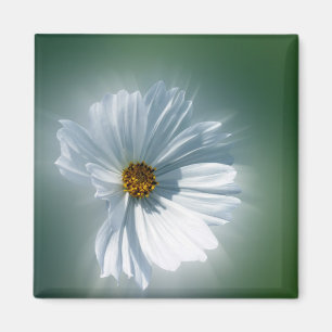 Imán blanco resplandeciente